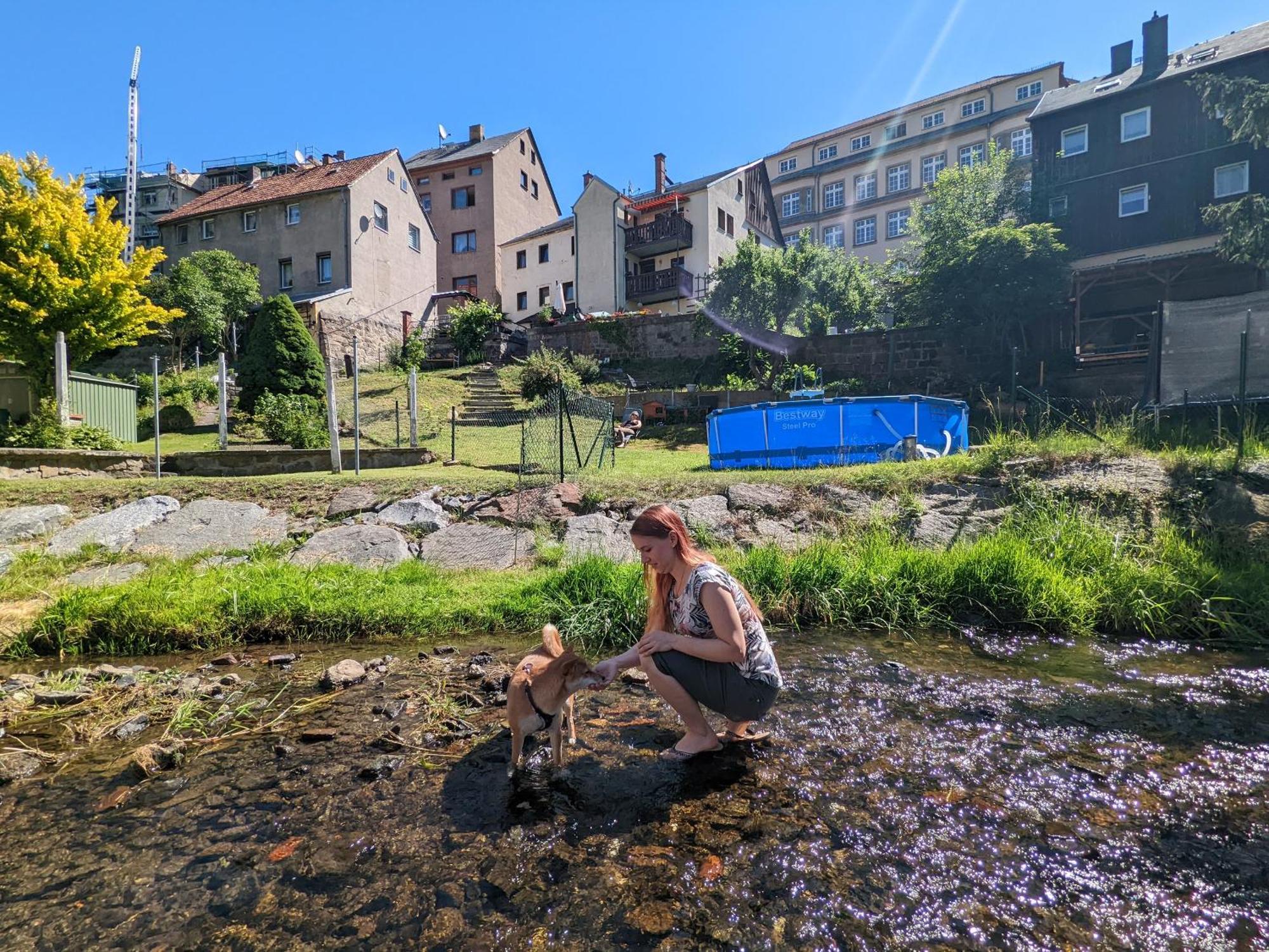 Ferienwohnung Idyllische Erholung - Sauna, Garten, Pool&Fluss - Zi1 Sebnitz Exterior foto