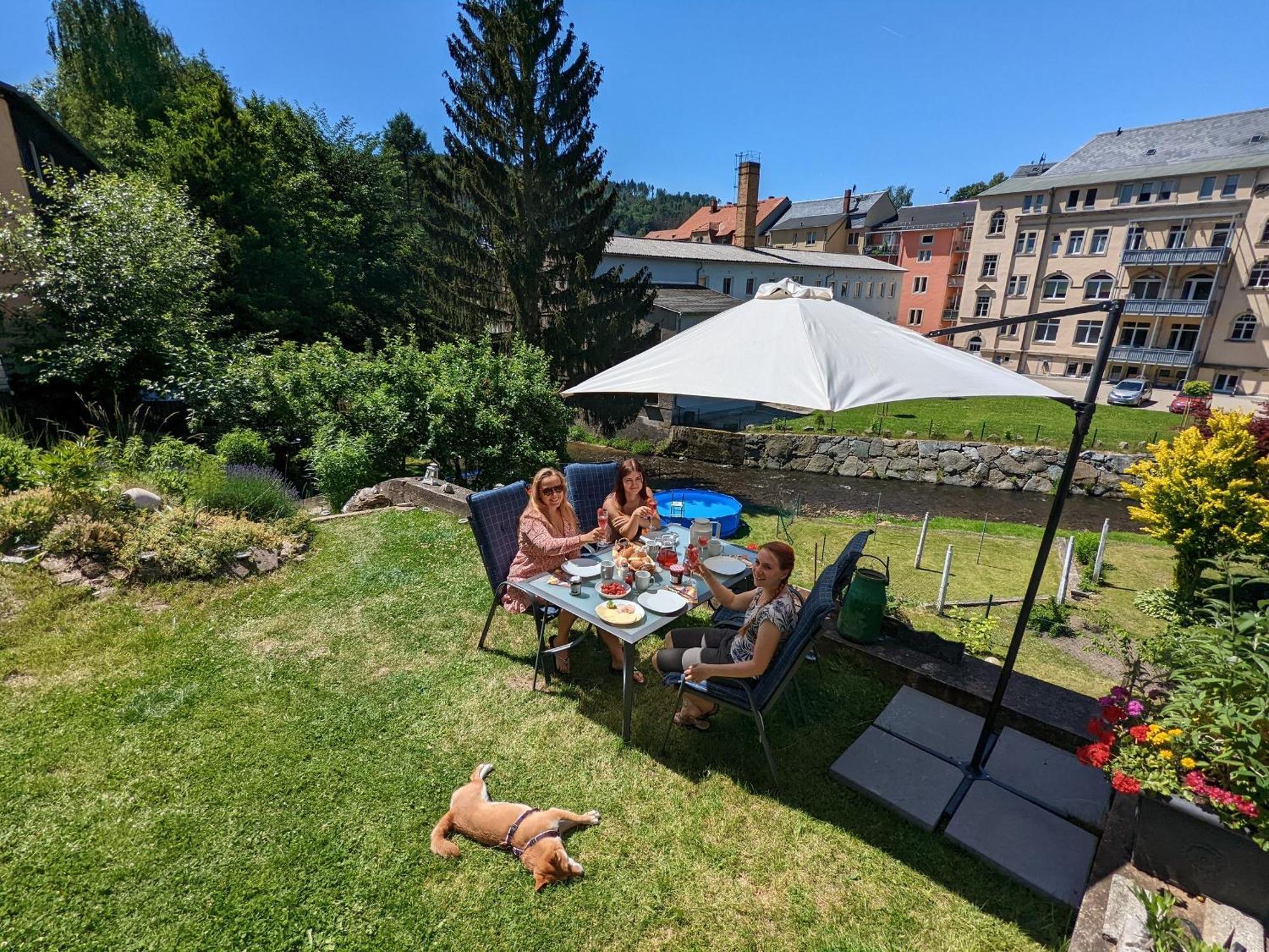 Ferienwohnung Idyllische Erholung - Sauna, Garten, Pool&Fluss - Zi1 Sebnitz Exterior foto