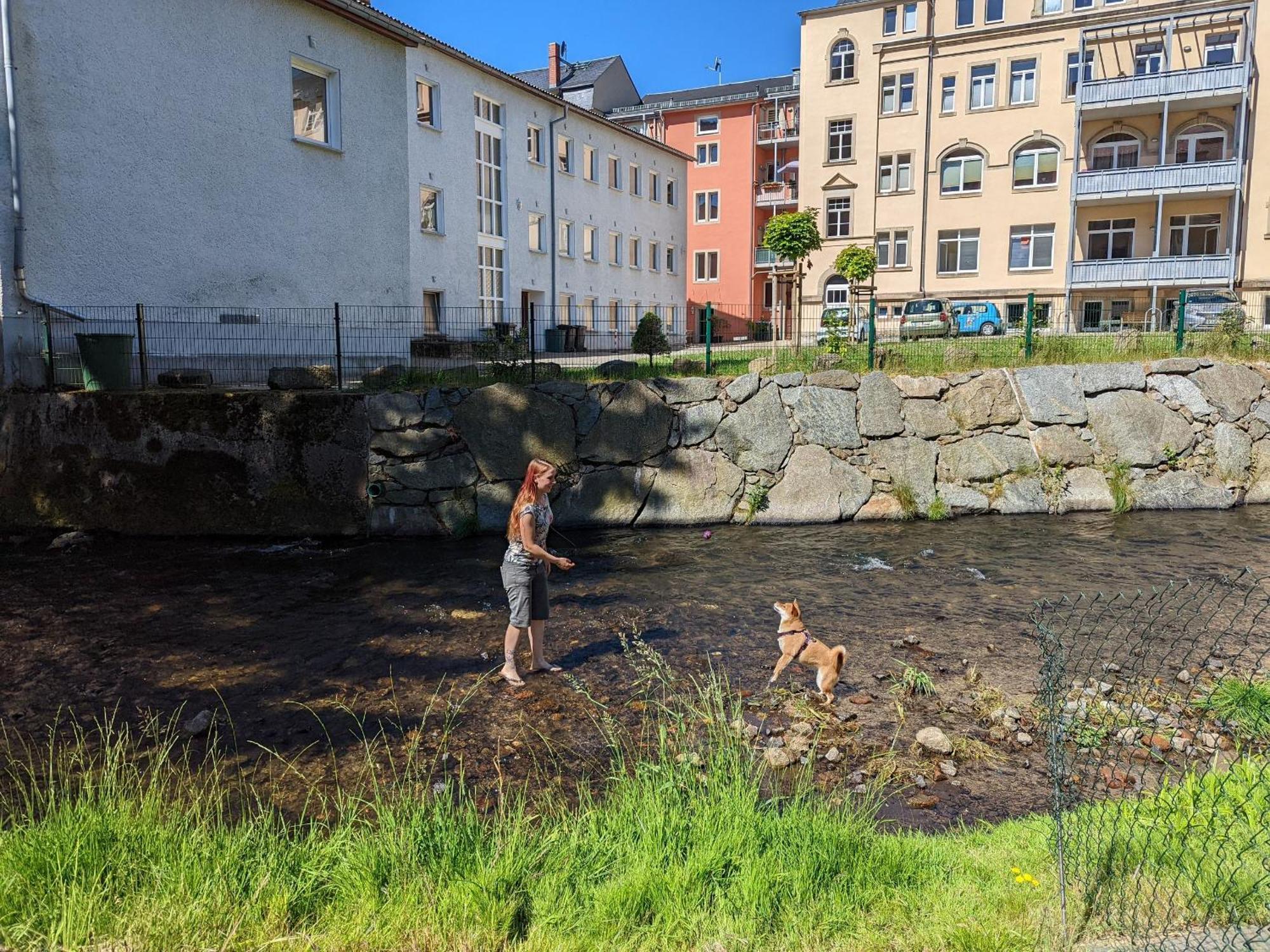 Ferienwohnung Idyllische Erholung - Sauna, Garten, Pool&Fluss - Zi1 Sebnitz Exterior foto